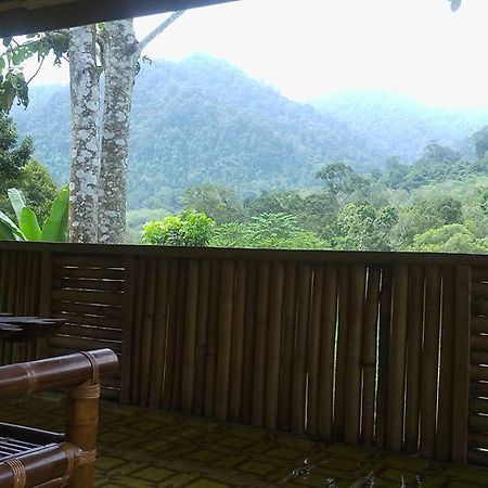 Batu Kapal Jungle Houses Hotel Berastagi Bagian luar foto