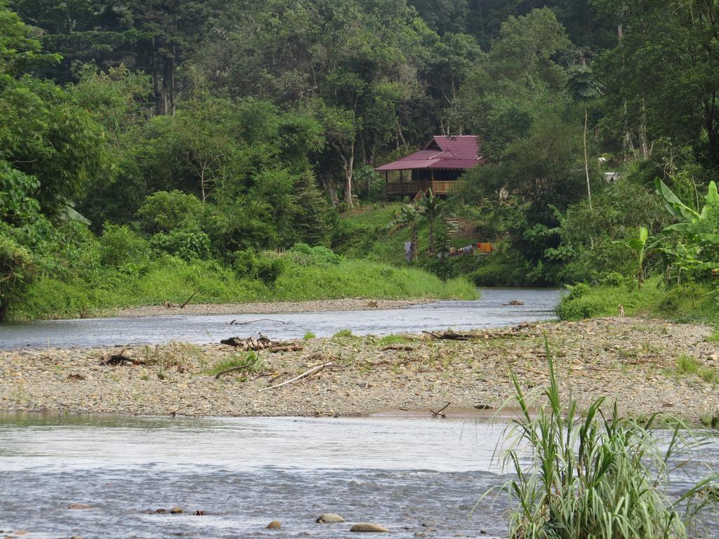 Batu Kapal Jungle Houses Hotel Berastagi Ruang foto