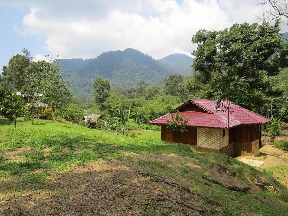 Batu Kapal Jungle Houses Hotel Berastagi Bagian luar foto